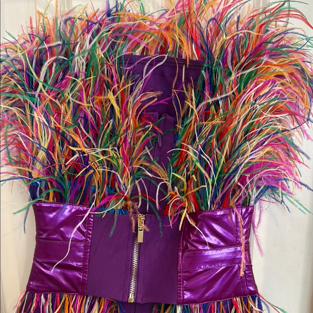 Colorful Feathered Dress with Purple Band - Picture 5 of 6